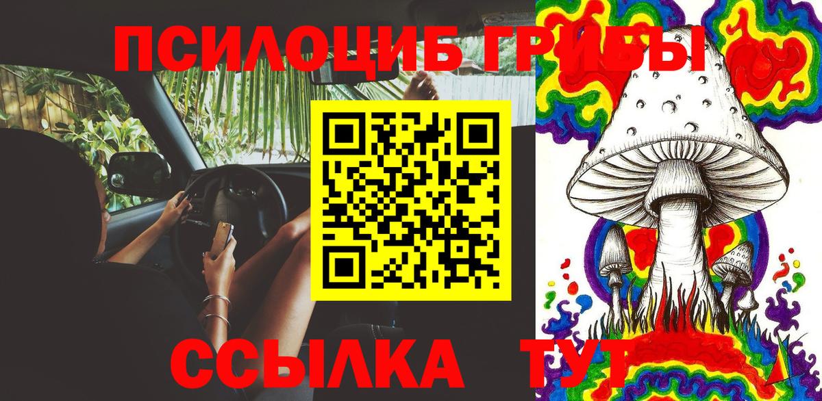 Мурманск  Псилоцибиновые грибы MAGIC MUSHROOMS  Вход с VPN 